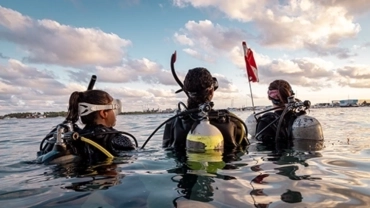 Curso de Dive Master SDI